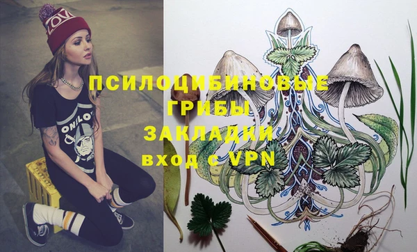 apvp Армянск